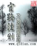 官路法则高建斌
