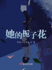 他的栀子花txt书包网