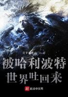 哈利波特被误会