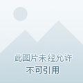 从看到经验条开始苏子籍