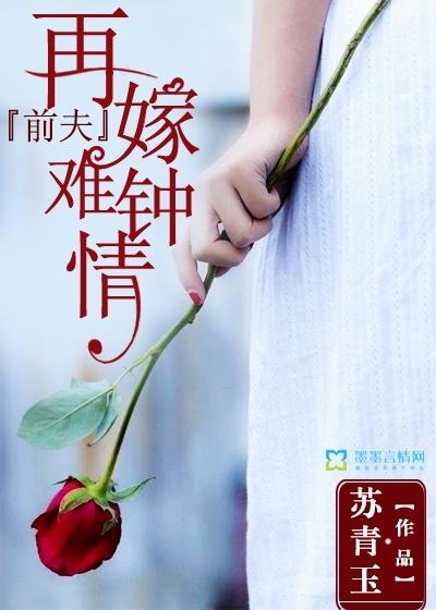 再嫁前夫伤不起