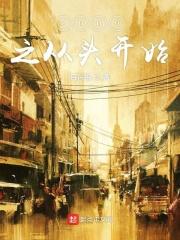 从2009开始
