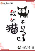我的猫不见了是什么意思