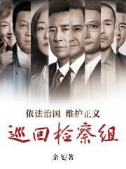 巡回检察组原著结局