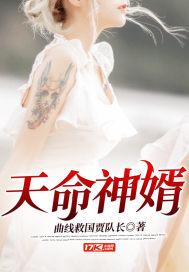 天命神婿短剧合集