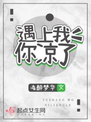 你遇见了我是什么歌