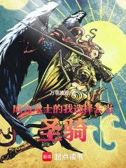 成为术士的我选择去当圣骑!