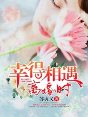 幸得相遇离婚时讲的是