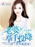 老婆要乖乖免费阅读