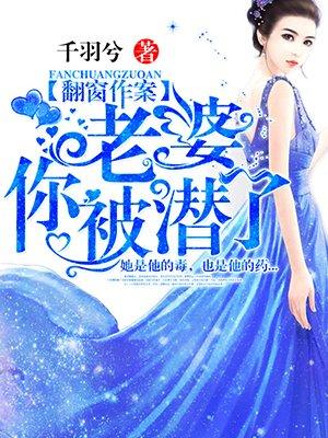翻窗作案老公来床咚txt