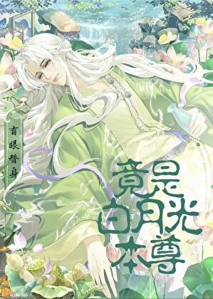 盲少的替身妻txt