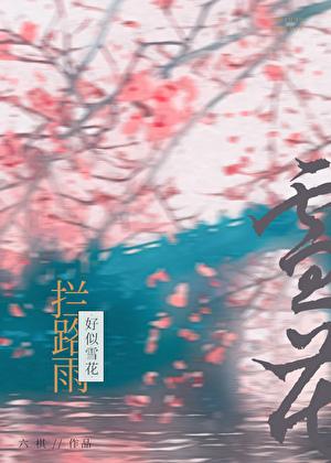 拦路雨便似雪花