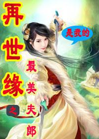 再世情缘十二集