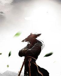 五灵王大战魔武王