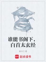白首太玄经作者接卡口