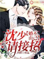 婚不由己程少求婚请跪下全文
