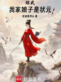 综武我家娘子是状元全本免费